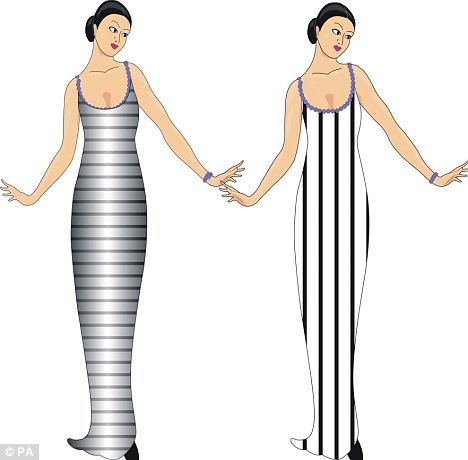 Stripes Versus Animal Prints – Which is Best for you?